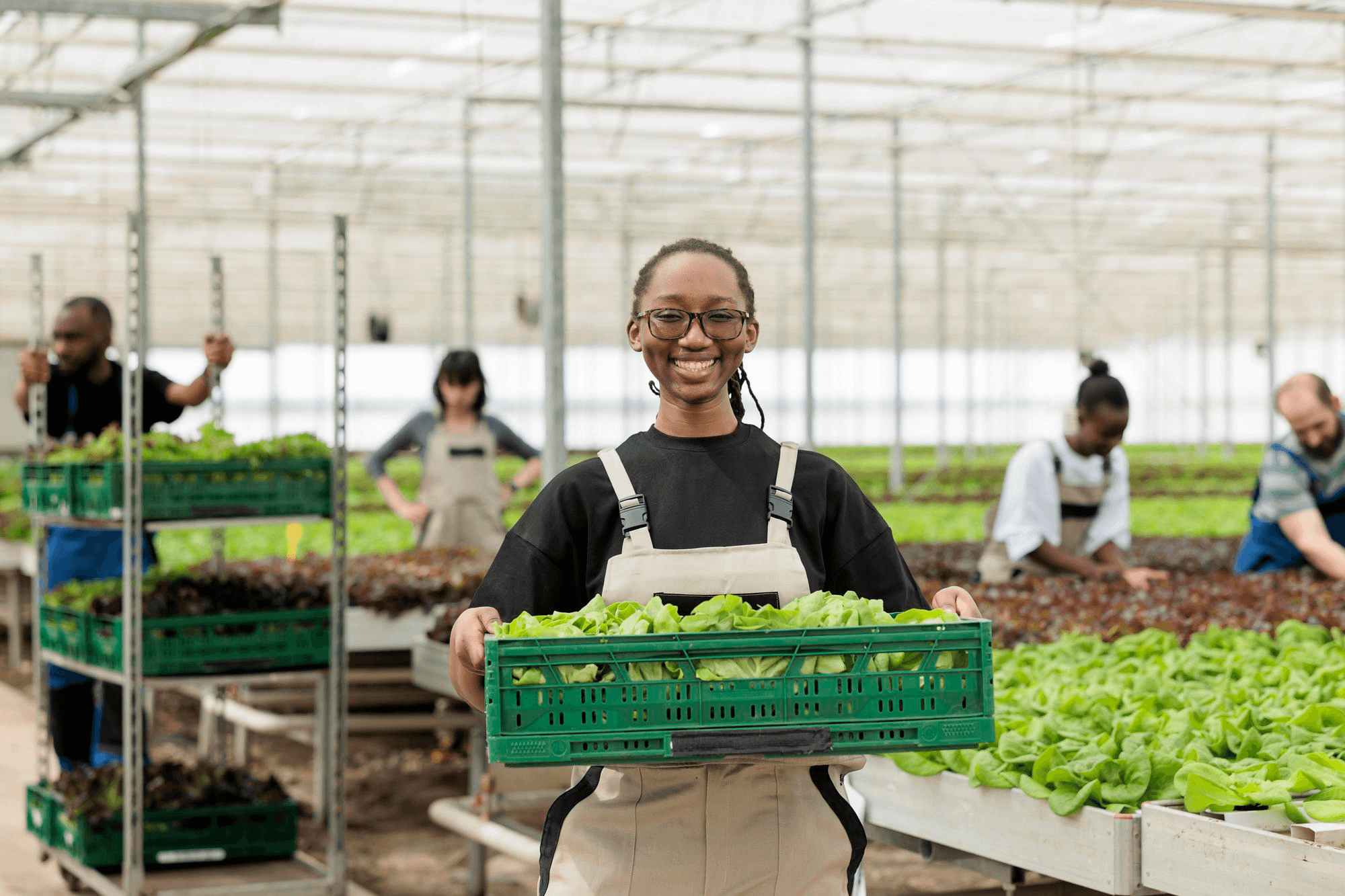 Farmers harvesting raw produce on a smallholder farm
